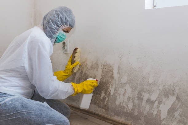 Best Residential Mold Removal  in Hudson, PA