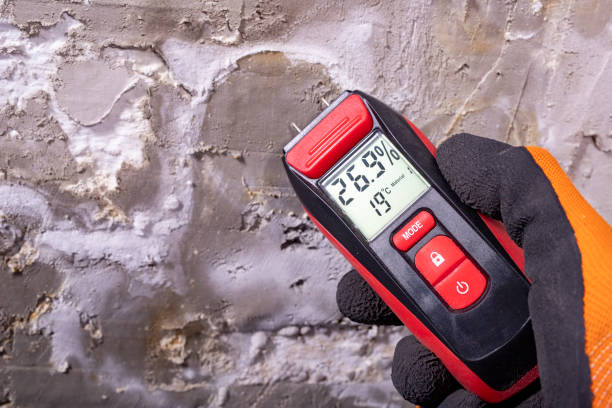 Mold Removal and Inspection in Hudson, PA