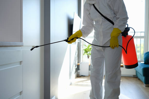 Best Mold Testing  in Hudson, PA