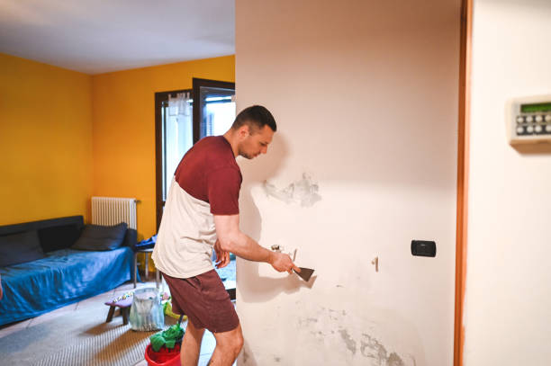 Best Home Mold Removal  in Hudson, PA