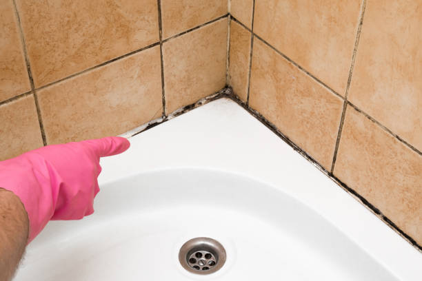 Best Crawl Space Mold Removal  in Hudson, PA